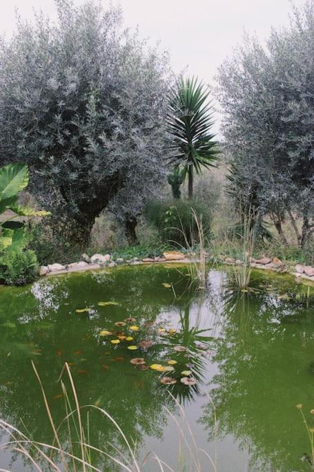 Porto de Mós Casa Oliva - Casa Do Lago מראה חיצוני תמונה